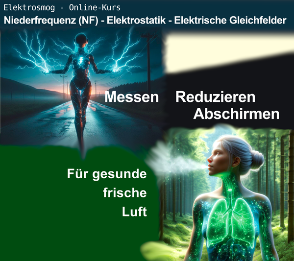 Online-Kurs Elektrosmog - Elektrostatik