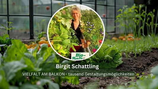 birgit%20%20schattling_300 Selbstversorgt und sicher Online-Kongress 2026 &ndash; kostenlos &ndash; strahlend-gesund.de